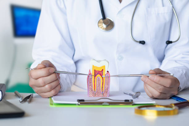 Best Urgent Care for Lost Fillings or Crowns in Wailuku, HI